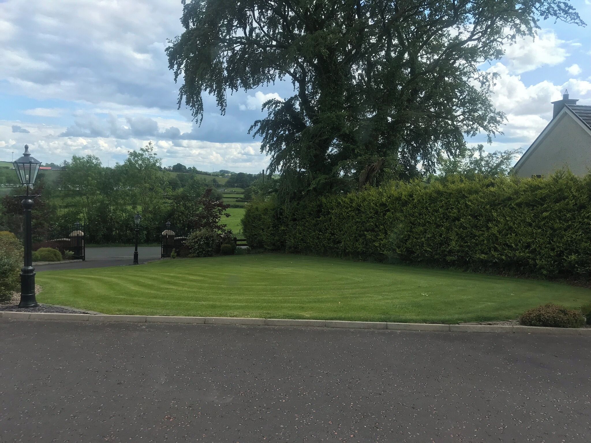 A well-maintained lawn with a hedge and a lamp post.