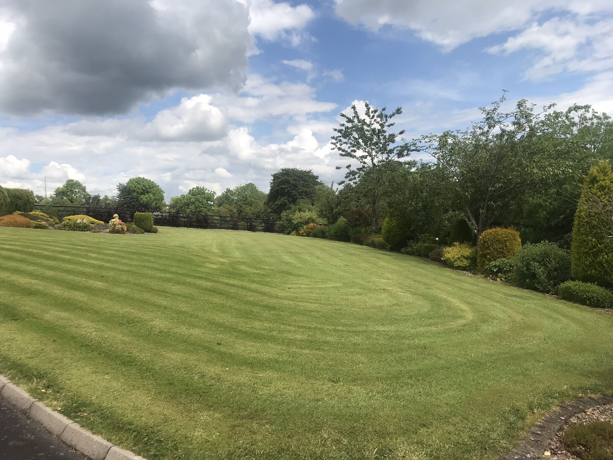 A well-maintained lawn with a variety of shrubs and trees, a stone wall, and a clear sky.