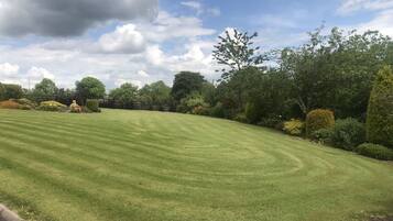 A well-maintained lawn with a variety of shrubs and trees, a stone wall, and a clear sky.