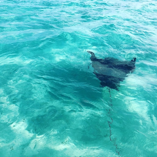 Relax on your own personal trawler