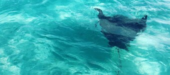 Relax on your own personal trawler