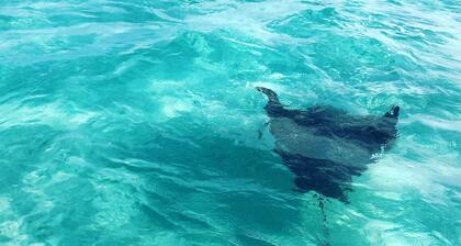 Relax on your own personal trawler