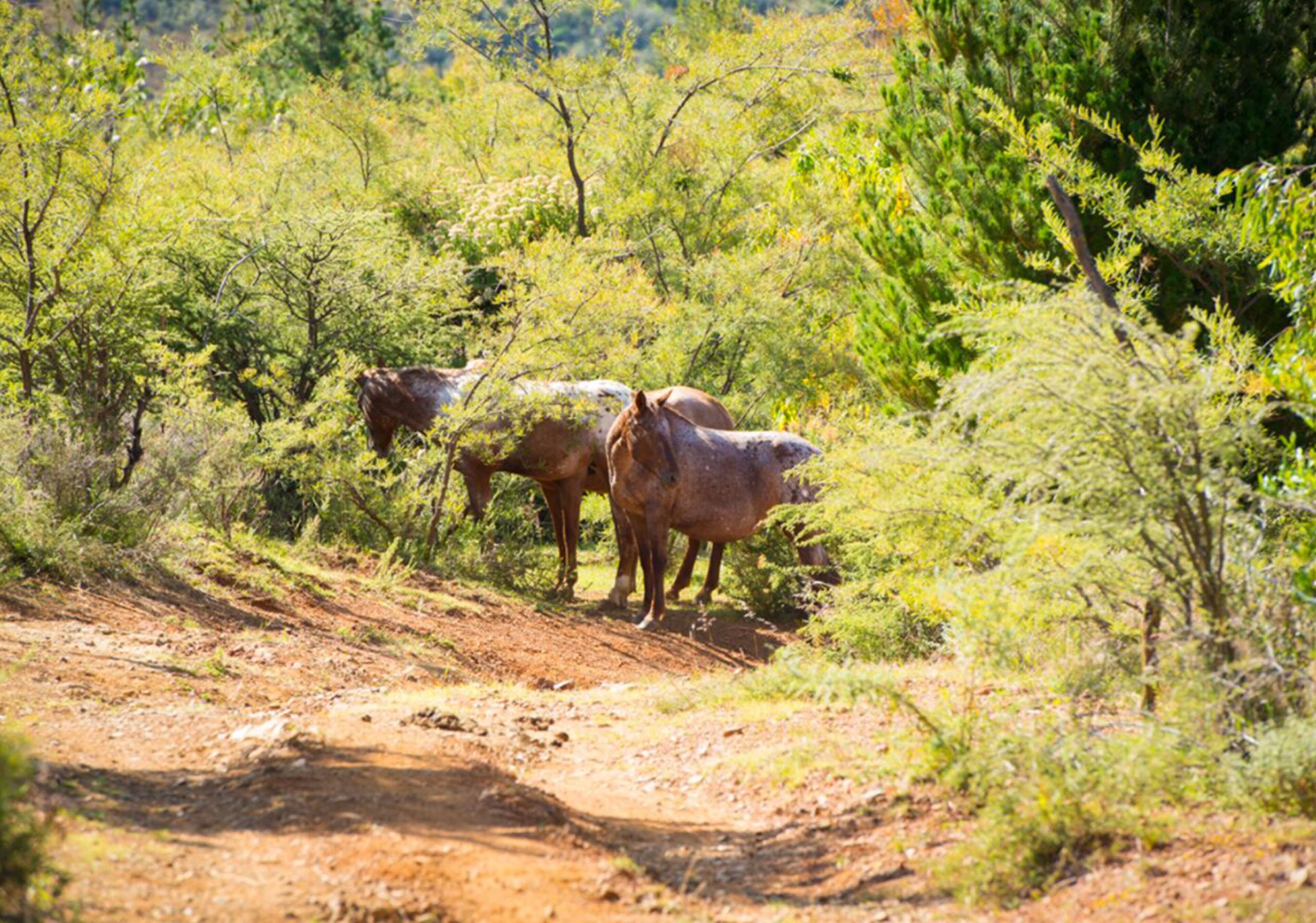 Photo - Casa Estrella de la Valenciana Hotel Boutique