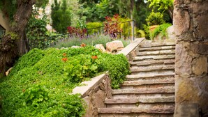 A stone staircase with greenery and flowers on the sides, leading to a building. - Casa Estrella Valenciana Hotel Boutique (Guanajuato)