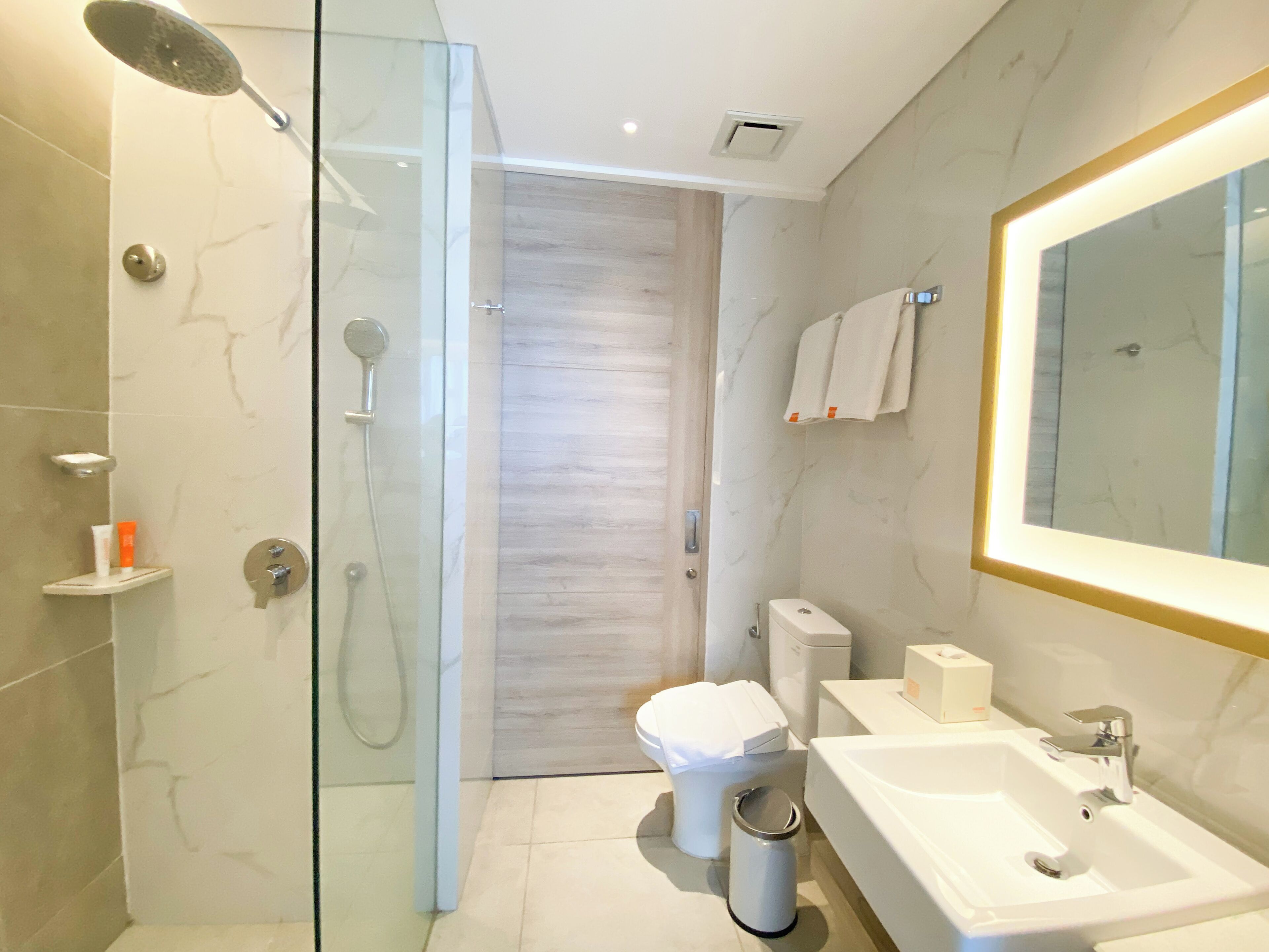A modern bathroom with a glass shower enclosure, a white sink, and a large mirror.