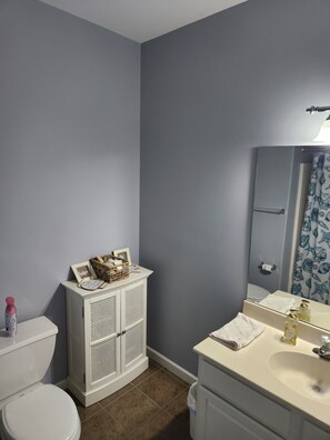 Combined shower/bathtub, hair dryer