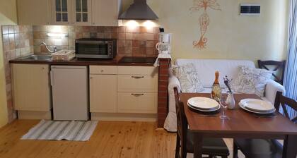 TIERRA - Apartments Bevk in charming Piran