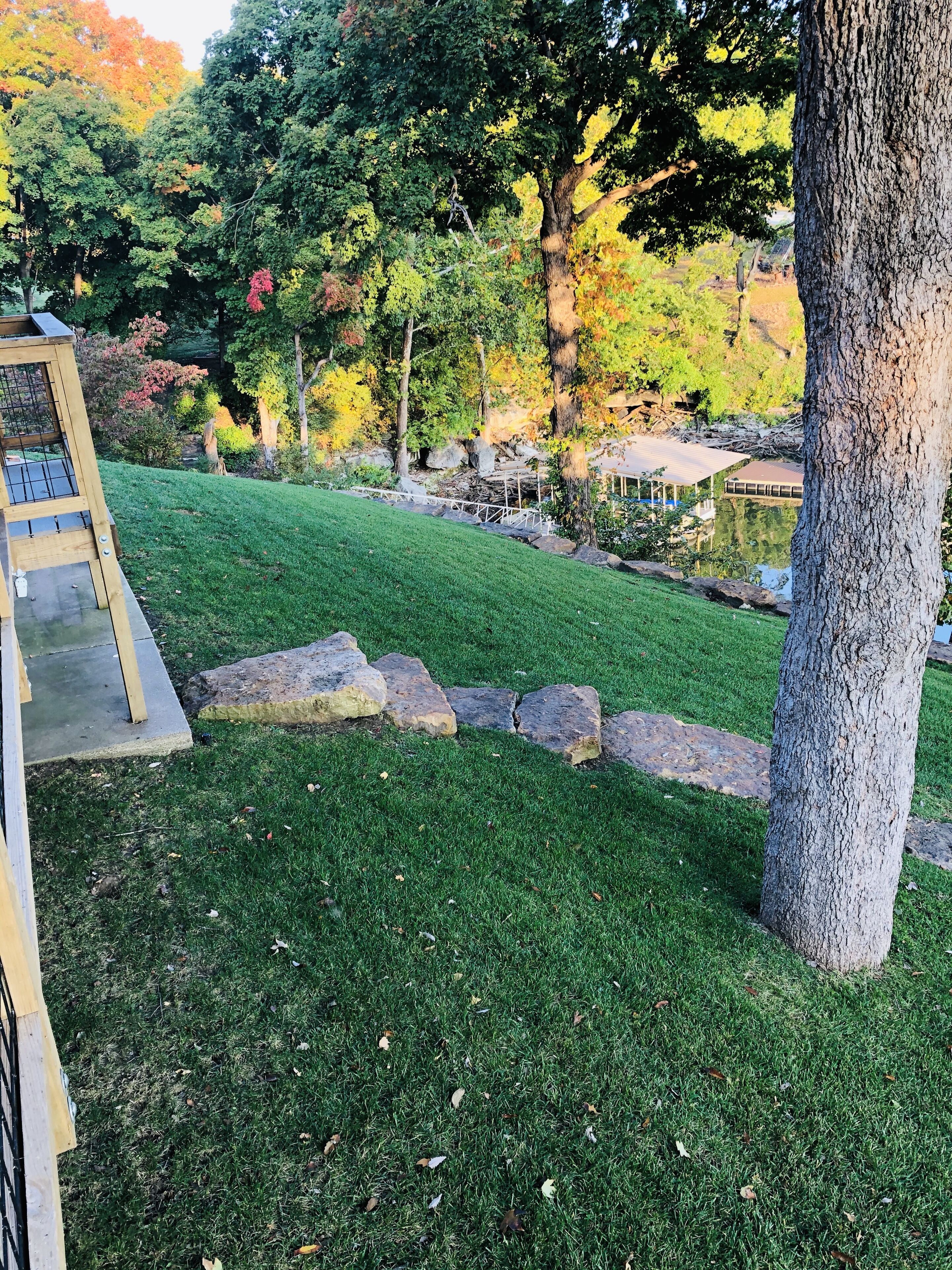 Une zone herbeuse bien entretenue, agrémentée d’une structure en bois, peut-être une terrasse ou une pergola, et d’un grand arbre.