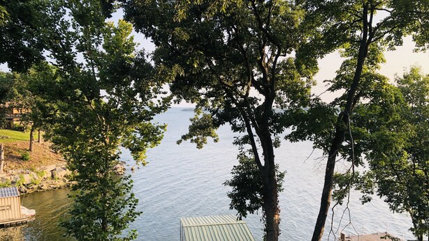 Een vakantiehuisje aan het meer met een metalen dak, omringd door bomen en een steiger.