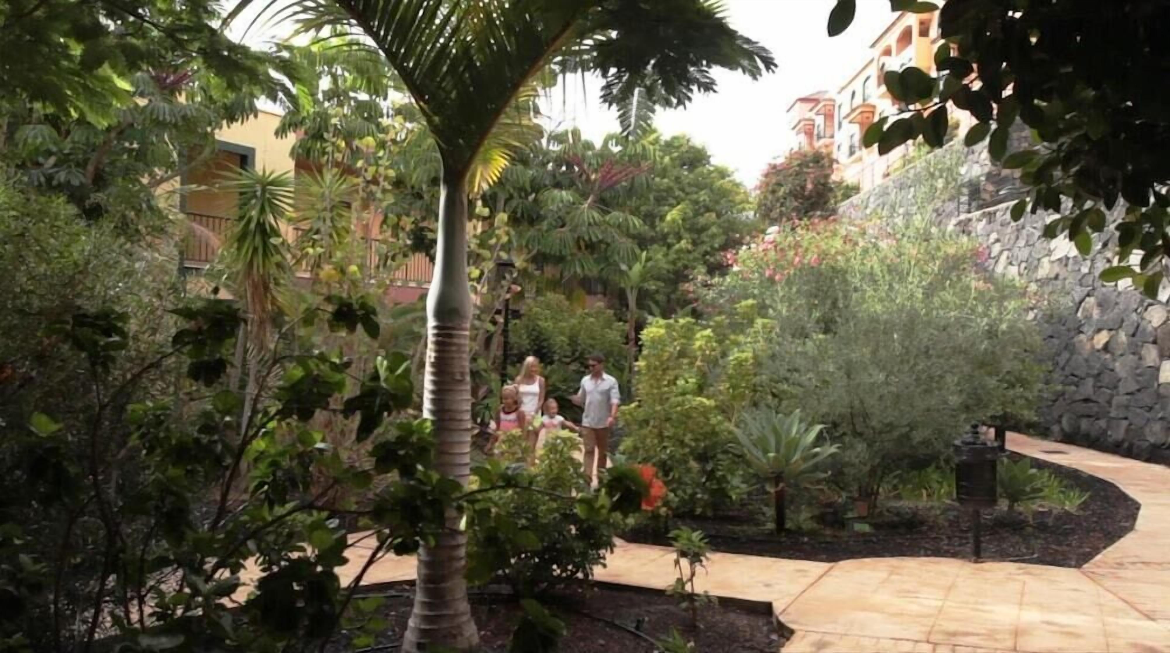A courtyard with a stone wall, a palm tree, and various plants.