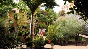 A lush garden with various plants and a stone wall. - Hotel Las Olas (Brena Baja)