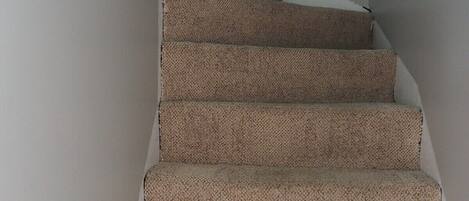 Una escalera con alfombra y barandilla de madera.