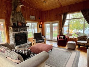 TV connectée, cheminée, lecteur de DVD, livres