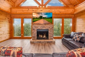 TV, fireplace, video games, Hulu