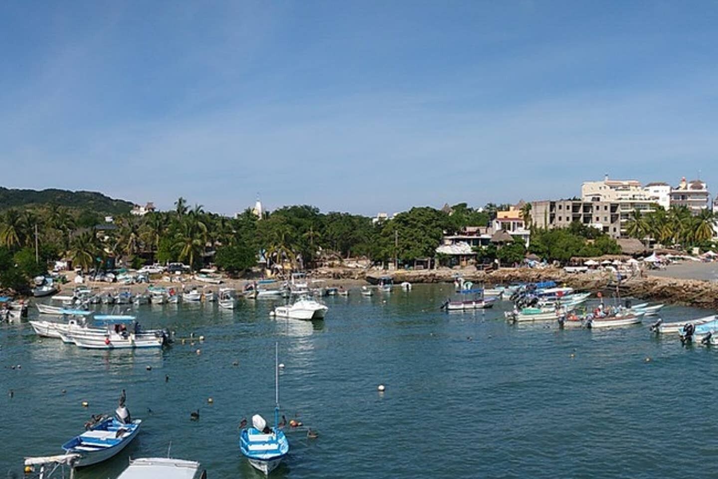 A coastal marina with numerous boats docked, surrounded by buildings and palm trees.