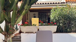 A sun loung Chair with a cushion, a potted plant, and a cactus in the foreground.