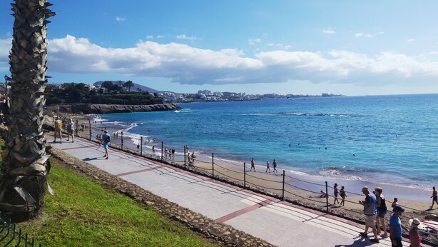 A coastal promenade with a paved walkway, palm trees, and a view of the sea and distant cityscape.