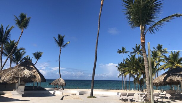 A poolside area with lounge chairs, palm trees, and a thatched-roof structure. - Beautiful 2 bedroom unit, free wifi, pool 3 minutes walk from beach  (Punta Cana)