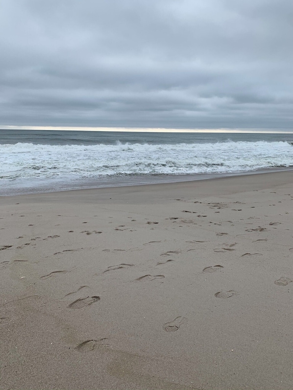 Playa en los alrededores, camastros y toallas de playa 