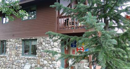 End Unit;walk to lifts,or take free bus winter; Ski History Exhibit