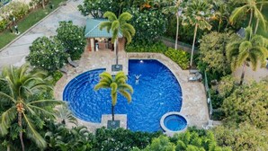 An aerial view of a resort with a central swimming pool surrounded by palm trees and lush greenery. - Waikiki | Tropical Retreat | Pool & Sauna (Honolulu)
