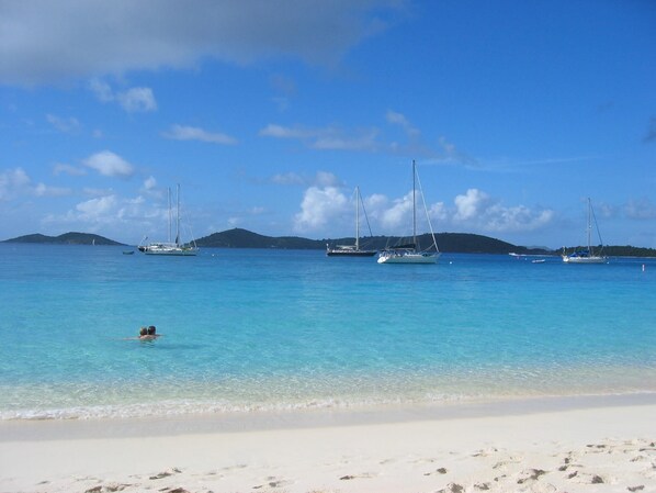 بالقرب من الشاطئ