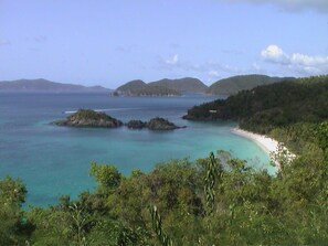 بالقرب من الشاطئ