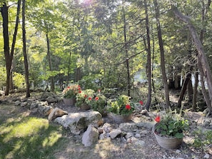 Escape to a serene forest oasis surrounded by lush potted plants and natural rocks.