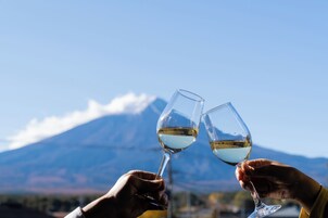 Dos manos sostienen copas de vino, con una montaña al fondo.