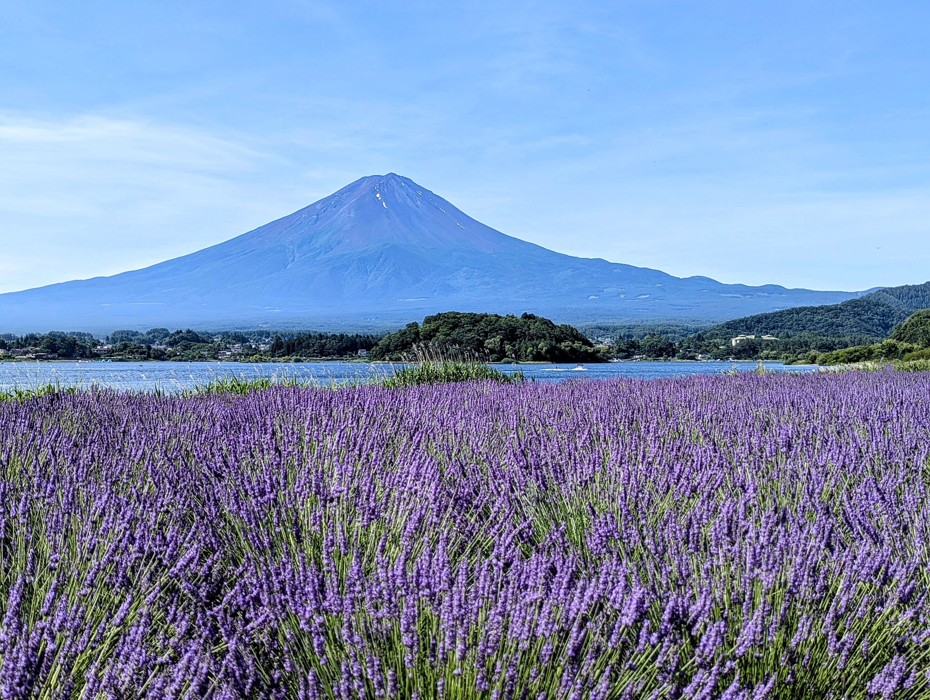 Foto - Fuji Gran Villa - TOKI -