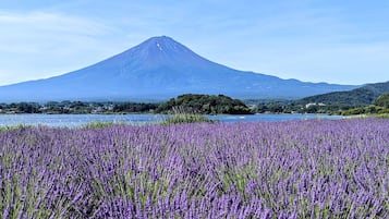 住宿城景