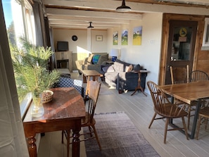 TV, fireplace, DVD player, books