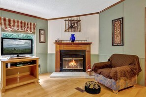 TV, fireplace, DVD player, books