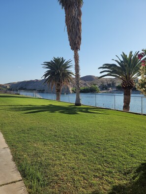 A grassy area with a pathway and two palm trees.