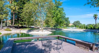 Studio Oasis on 5 Acres in Wine Country