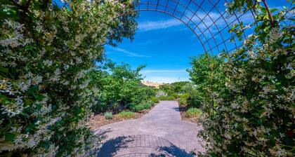 Studio Oasis on 5 Acres in Wine Country