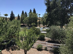 Property grounds - Studio Oasis on 5 Acres in Wine Country (Templeton)