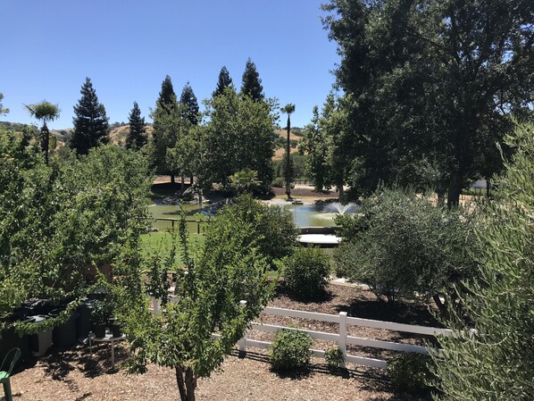 A landscaped garden with a pond, trees, and a white fence. - Studio Oasis on 5 Acres in Wine Country (Templeton)