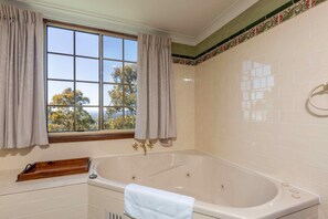 Hair dryer - Bimbadeen Mountain Retreat - Mountainside retreat with panoramic views (Mount View)