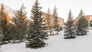 A snow-covered landscape with evergreen trees and a building in the background.