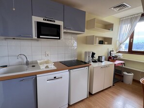 Fridge, microwave, oven, dishwasher - Top-floor apartment with parking and air conditioning in Aix-les-Bains! (Aix-les-Bains)