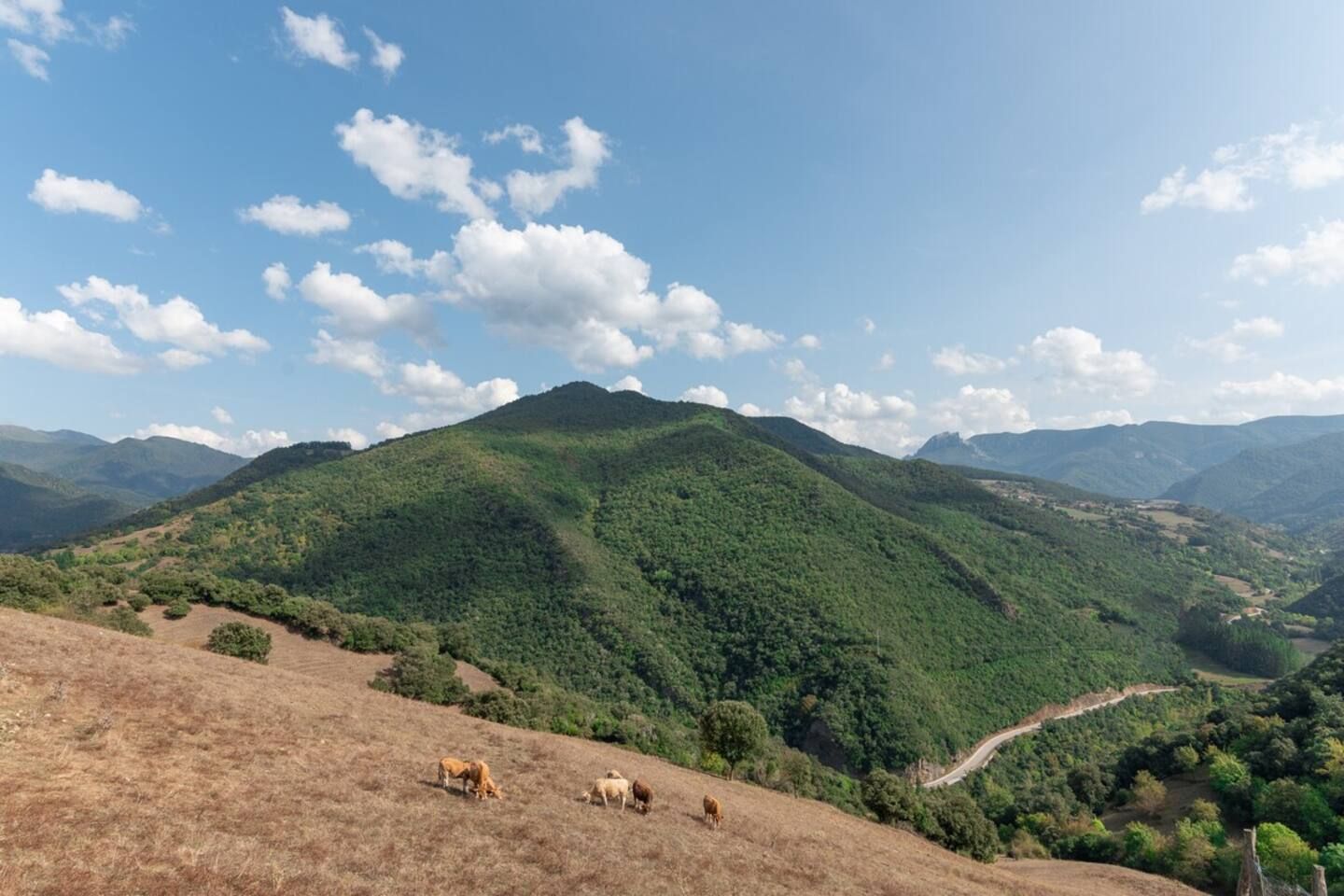 Eine gebirgige Landschaft mit blauem Himmel und einer kurvenreichen Straße.