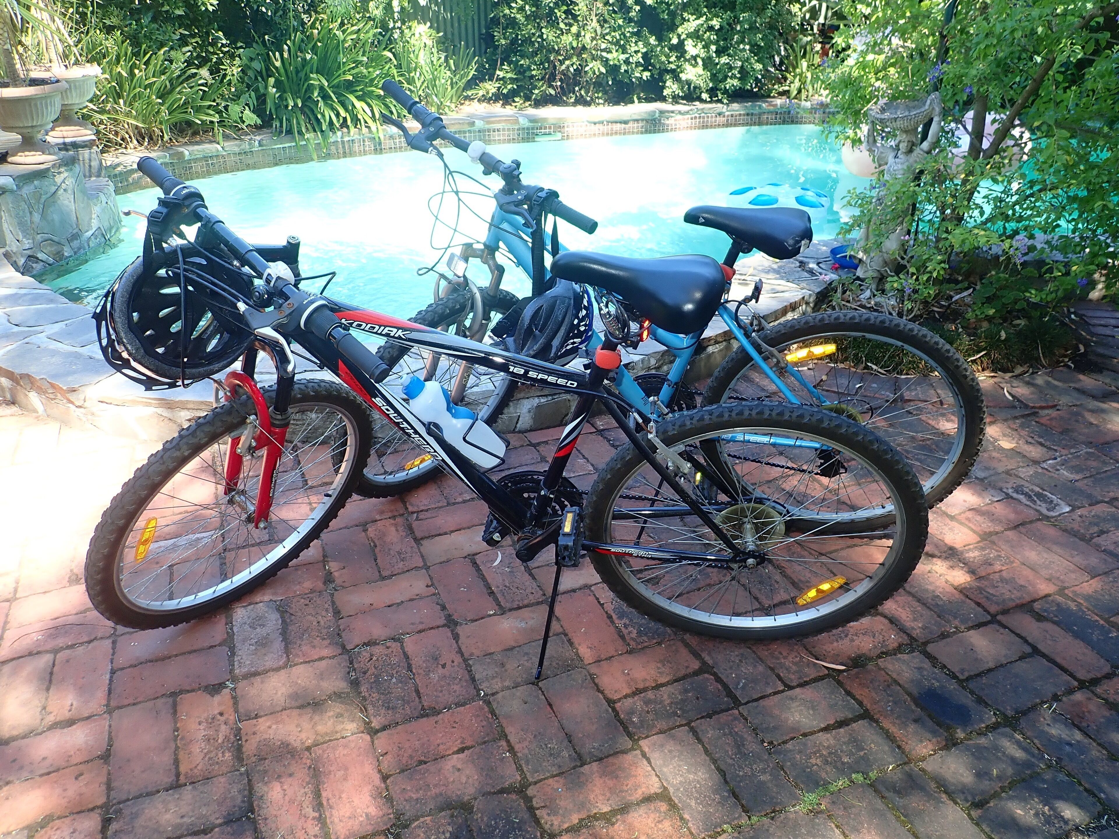 Luxury B@B  in historic  quiet leafy  suburb  2km from Adelaide CBD  — image 18