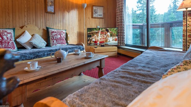 Ett mysigt rum med träväggar, ett stort fönster med utsikt över skogen, en soffa med mönstrade kuddar, ett träbord med teservis och en tv på ett träställ.