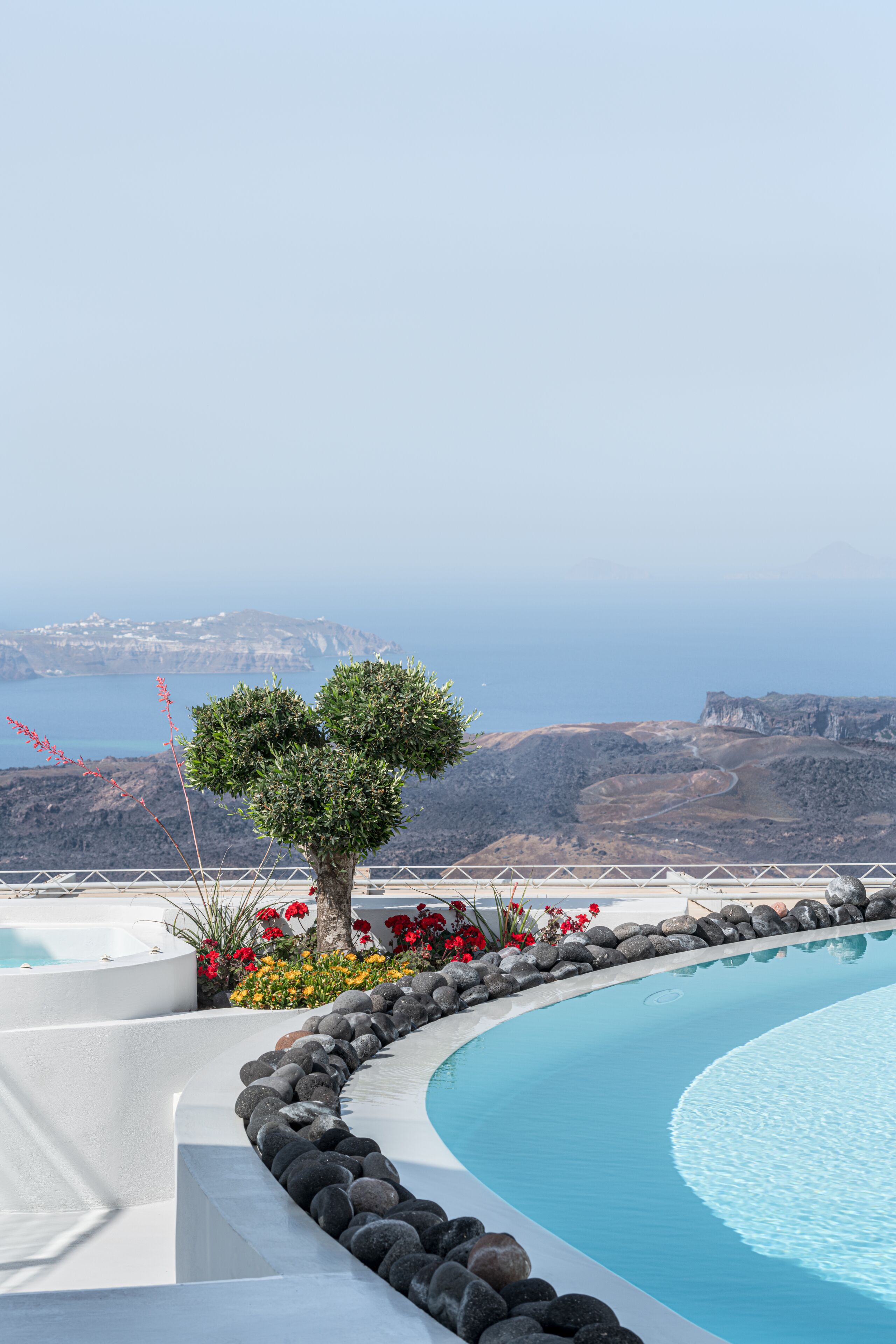 A pool with a curved edge, surrounded by a stone border and a small tree.
