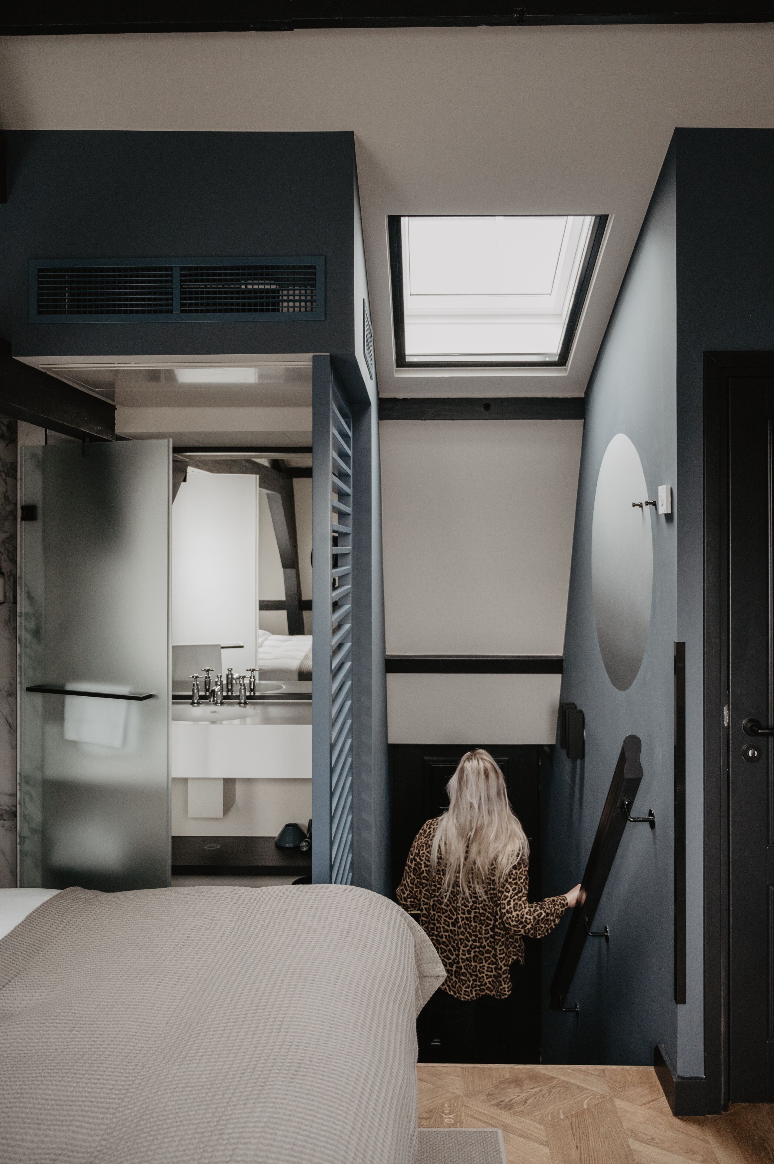A bedroom with a skylight, a bed, a wardrobe, and a bathroom.