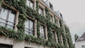 Fachada de edificio cubierta de abundante vegetación trepadora.