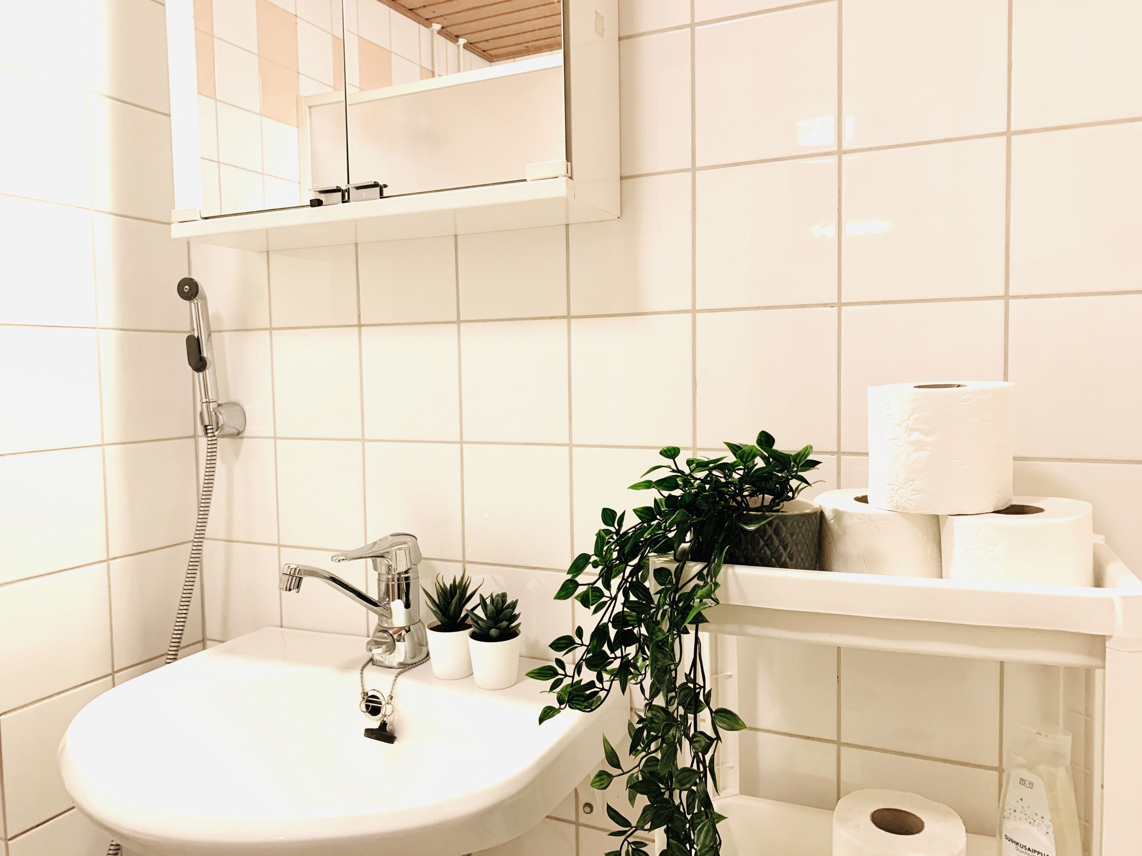 A bathroom with a white sink, a handheld showerhead, a mirror, and a potted plant.