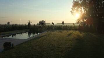 Seasonal outdoor pool, pool umbrellas, sun loungers