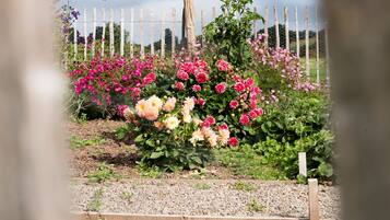 Detalle del exterior